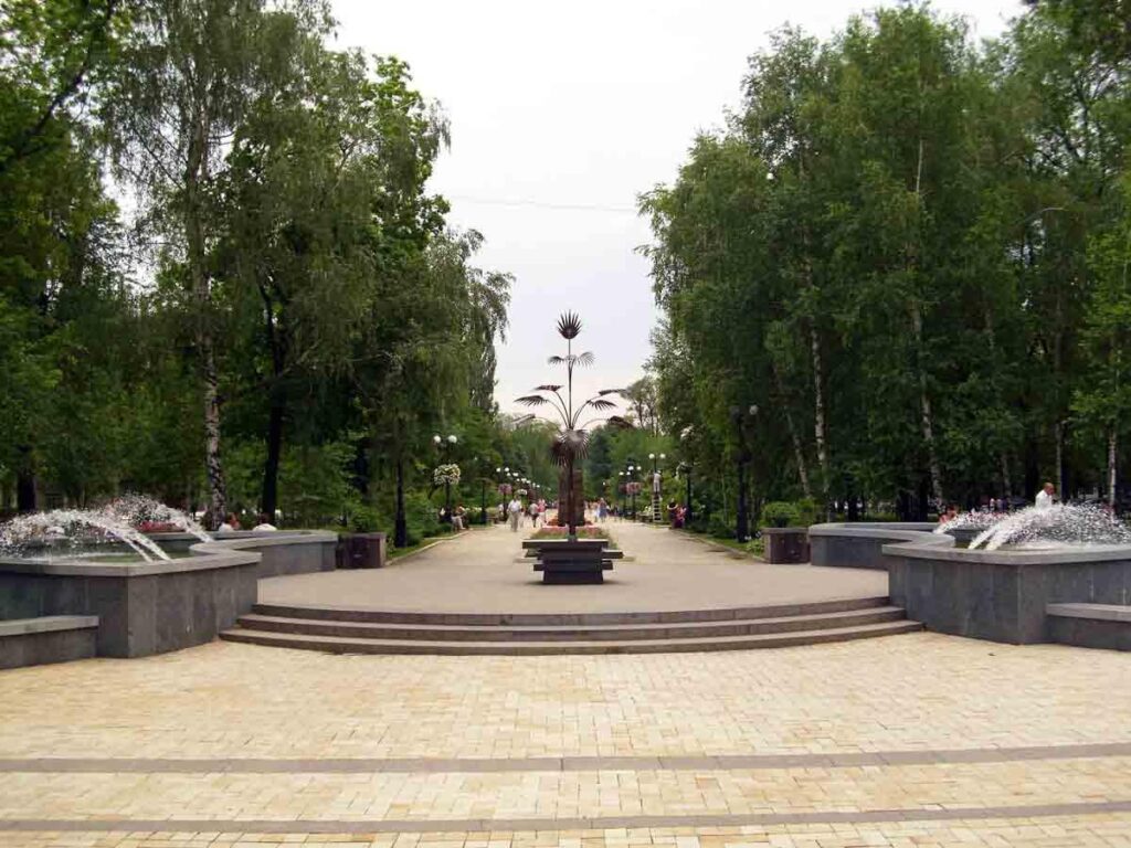 Пальма на бульваре Пушкина в Донецке
